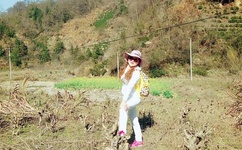 杜达雄2012春溅泪